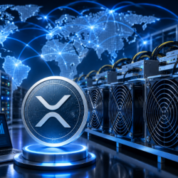 ASDeFi запускает новый майнинг криптовалюты XRP, легко зарабатывая 3000 долларов в день. ASDeFi запускает новый майнинг криптовалюты XRP, легко зарабатывая 3000 долларов в день.
