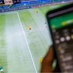 Спортивный беттинг в Украине: ключевые этапы развития и современные тренды